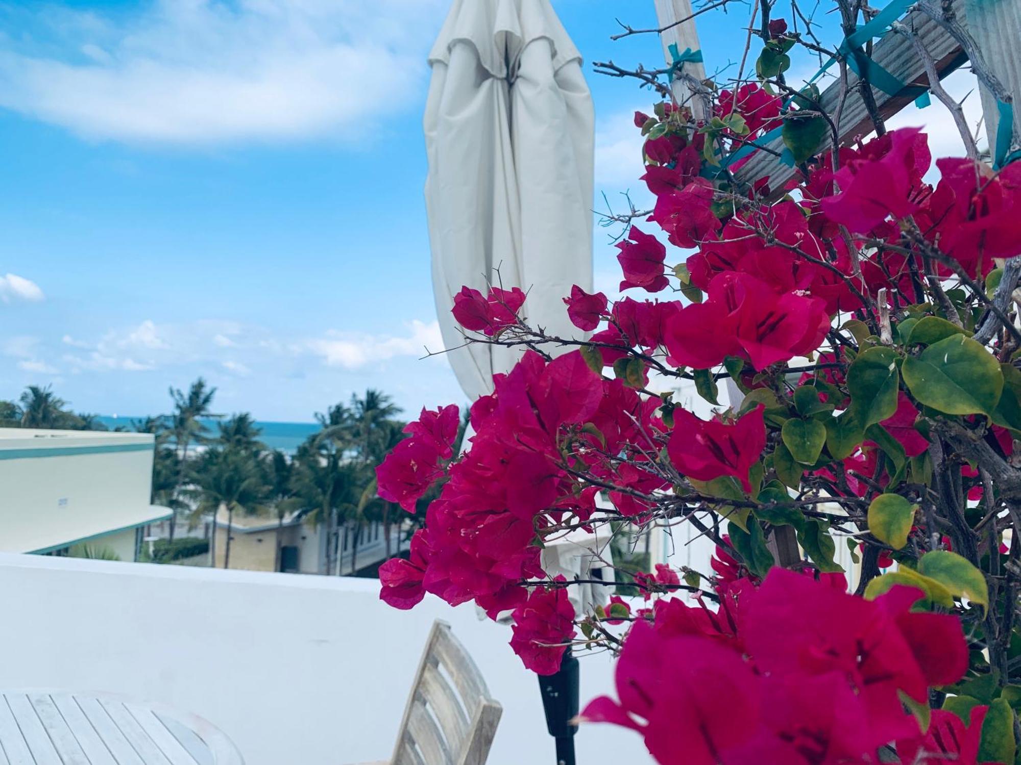 Sunrise Penthouse Ocean View Terrace Beach Few Steps Away Sobe Miami Beach Exterior foto